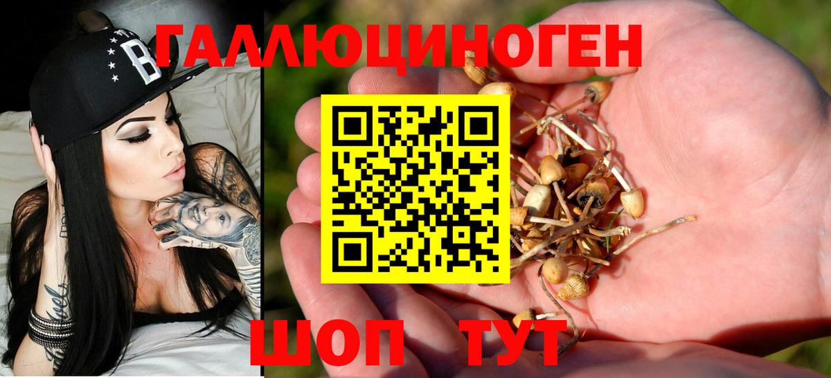 Звенигород  купить закладку  Галлюциногенные грибы Psilocybe  Вход с VPN  Галлюциногенные грибы Psilocybine cubensis 
